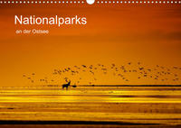 Nationalparks an der Ostsee (Wandkalender 2022 DIN A3 quer)