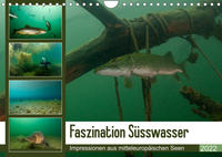 Faszination Süsswasser (Wandkalender 2022 DIN A4 quer)