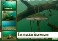 Faszination Süsswasser (Wandkalender 2022 DIN A2 quer)
