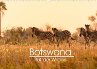 Botswana - Ruf der Wildnis (Wandkalender 2022 DIN A2 quer)