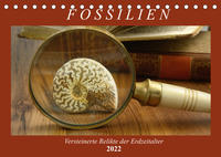 Fossilien - Versteinerte Relikte der Erdzeitalter (Tischkalender 2022 DIN A5 quer)