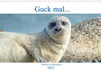 Guck mal ... Robben im Wattenmeer (Wandkalender 2022 DIN A3 quer)