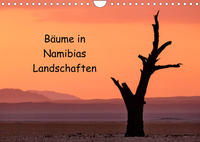 Bäume in Namibias Landschaften (Wandkalender 2022 DIN A4 quer)