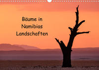 Bäume in Namibias Landschaften (Wandkalender 2022 DIN A3 quer)