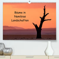 Bäume in Namibias Landschaften (Premium, hochwertiger DIN A2 Wandkalender 2022, Kunstdruck in Hochglanz)