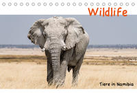 Wildlife - Tiere in Namibia (Tischkalender 2022 DIN A5 quer)