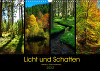 Licht und Schatten - Herbst im Südschwarzwald (Wandkalender 2022 DIN A3 quer)