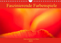 Faszinierende Farbenspiele - Makroaufnahmen von Tulpen (Wandkalender 2022 DIN A4 quer)