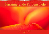 Faszinierende Farbenspiele - Makroaufnahmen von Tulpen (Wandkalender 2022 DIN A3 quer)