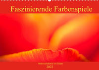 Faszinierende Farbenspiele - Makroaufnahmen von Tulpen (Wandkalender 2022 DIN A2 quer)