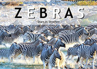 Zebras, Stars in Streifen (Wandkalender 2022 DIN A3 quer)