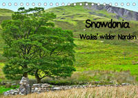 Snowdonia - Wales' wilder Norden (Tischkalender 2022 DIN A5 quer)