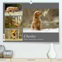 Chesley Kleiner Hund Grosses AbenteuerCH-Version (Premium, hochwertiger DIN A2 Wandkalender 2022, Kunstdruck in Hochglanz)