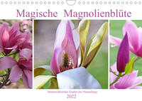 Magische Magnolienblüte (Wandkalender 2022 DIN A4 quer)