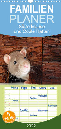 Familienplaner Süße Mäuse und Coole Ratten (Wandkalender 2022 , 21 cm x 45 cm, hoch)