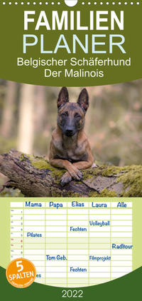 Familienplaner Belgischer Schäferhund - Der Malinois (Wandkalender 2022 , 21 cm x 45 cm, hoch)