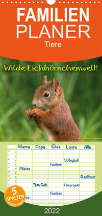 Familienplaner Wilde Eichhörnchenwelt! (Wandkalender 2022 , 21 cm x 45 cm, hoch)