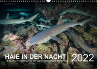 Haie in der Nacht (Wandkalender immerwährend DIN A3 quer)