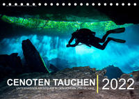 Cenoten Tauchen (Tischkalender immerwährend DIN A5 quer)