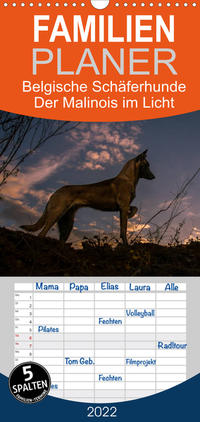 Familienplaner Belgische Schäferhunde - Der Malinois im Licht (Wandkalender 2022 , 21 cm x 45 cm, hoch)
