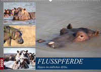 Hippos im südlichen Afrika (Wandkalender 2022 DIN A2 quer)