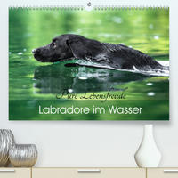 Labradore im Wasser (Premium, hochwertiger DIN A2 Wandkalender 2022, Kunstdruck in Hochglanz)