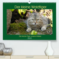 Der kleine Waldtiger (Premium, hochwertiger DIN A2 Wandkalender 2022, Kunstdruck in Hochglanz)