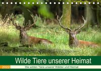 Wilde Tiere unserer Heimat (Tischkalender 2022 DIN A5 quer)