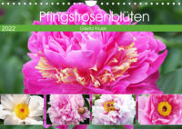 Pfingstrosenblüten (Wandkalender 2022 DIN A4 quer)