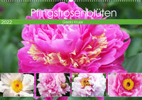 Pfingstrosenblüten (Wandkalender 2022 DIN A2 quer)