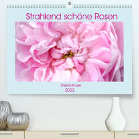Strahlend schöne Rosen (Premium, hochwertiger DIN A2 Wandkalender 2022, Kunstdruck in Hochglanz)