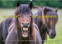 Das Lachen der Islandhengste. (Wandkalender 2022 DIN A2 quer)