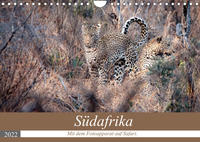 Südafrika - Mit dem Fotoapparat auf Safari. (Wandkalender 2022 DIN A4 quer)