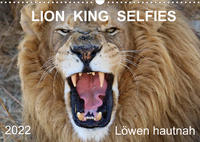 LION KING SELFIES Löwen hautnah (Wandkalender 2022 DIN A3 quer)