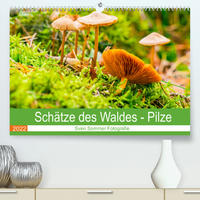 Schätze des Waldes - Pilze (Premium, hochwertiger DIN A2 Wandkalender 2022, Kunstdruck in Hochglanz)