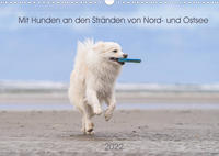 Mit Hunden an den Stränden von Nord- und Ostsee (Wandkalender 2022 DIN A3 quer)