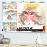 Japanmakaken. Die im Onsen badenden Schneeaffen von Nagano (Premium, hochwertiger DIN A2 Wandkalender 2022, Kunstdruck in Hochglanz)