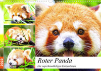Roter Panda. Die superknuddeligen Katzenbären (Wandkalender 2022 DIN A3 quer)