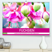Fuchsien. Liebliche Blumenkelche aus dem Elfenreich (Premium, hochwertiger DIN A2 Wandkalender 2022, Kunstdruck in Hochglanz)