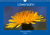 Löwenzahn im Frühjahr (Wandkalender 2022 DIN A4 quer)