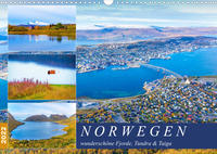 Norwegen wunderschöne Fjorde, Tundra & Taiga (Wandkalender 2022 DIN A3 quer)