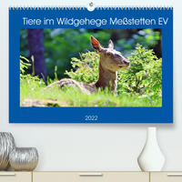 Tiere im Wildgehege Meßstetten EV (Premium, hochwertiger DIN A2 Wandkalender 2022, Kunstdruck in Hochglanz)