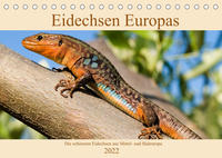 Eidechsen Europas (Tischkalender immerwährend DIN A5 quer)