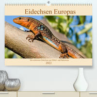 Eidechsen Europas (Premium, hochwertiger DIN A2 Wandkalender 2022, Kunstdruck in Hochglanz)