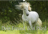 Dein Freund, dein Pferd (Wandkalender 2022 DIN A3 quer)