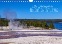 Im Farbenspiel des Yellowstone Natl. Park (Wandkalender immerwährend DIN A4 quer)