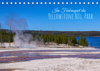 Im Farbenspiel des Yellowstone Natl. Park (Tischkalender immerwährend DIN A5 quer)