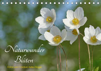 Naturwunder Blüten (Tischkalender 2022 DIN A5 quer)