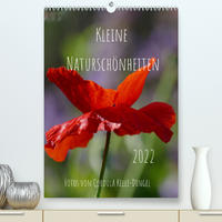 Kleine Naturschönheiten (Premium, hochwertiger DIN A2 Wandkalender 2022, Kunstdruck in Hochglanz)