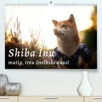 Shiba Inu - mutig, treu, selbstbewusst (Premium, hochwertiger DIN A2 Wandkalender 2022, Kunstdruck in Hochglanz)